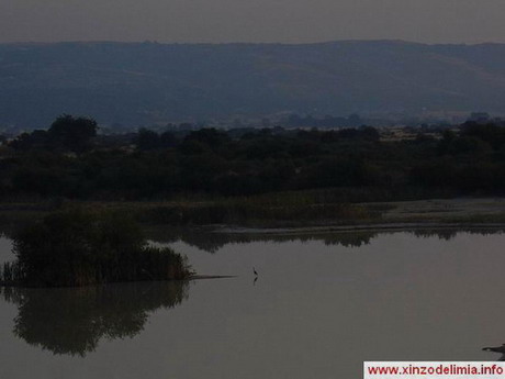 charcas da lagoa de antela