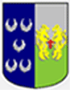 escudo xunqueira de ambia