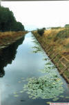 caanle da lagoa de antela
