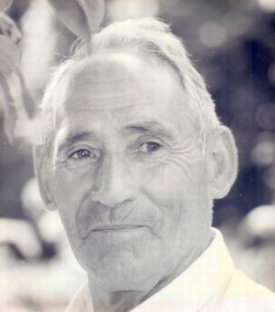 jose limia alvarez
